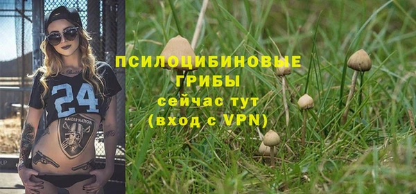 2c-b Белокуриха