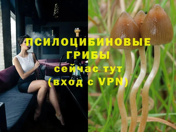 MESCALINE Белоозёрский