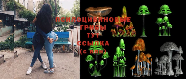 2c-b Белокуриха